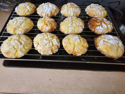 Lemon Crinkle Cookies 20240316.jpg