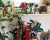IMG_1581.jpeg