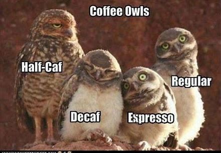 This is better - anyone for coffee