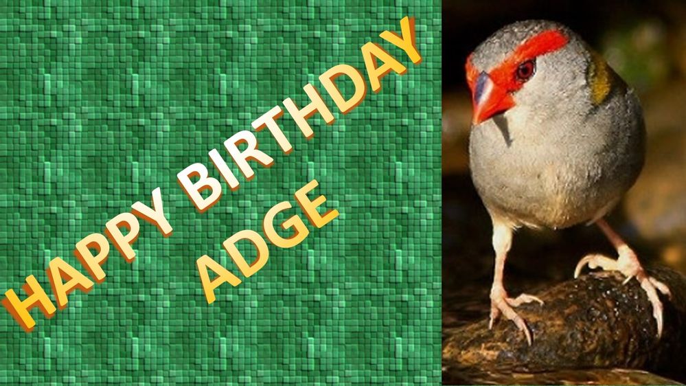 HAPPY BIRTHDAY ADGE