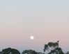 IMG_20210527_064302.jpg